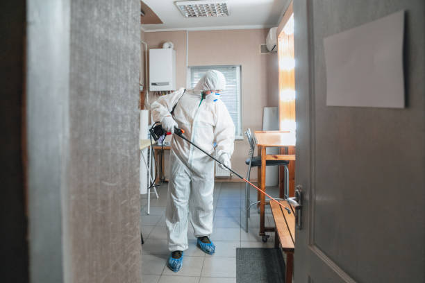  Cuero, TX Mold Removal Pros